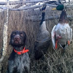 Meet your Posher, Jamey